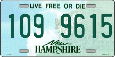 NH license plate 1099615