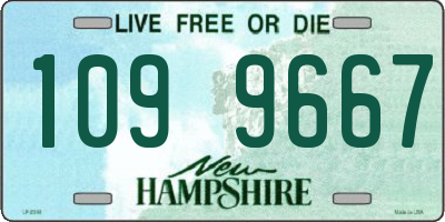 NH license plate 1099667