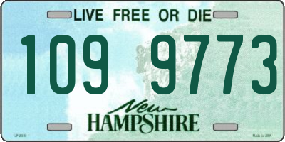 NH license plate 1099773
