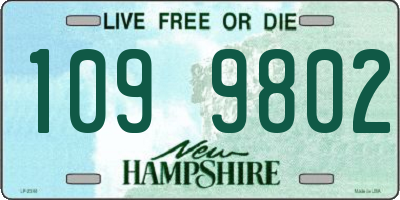 NH license plate 1099802
