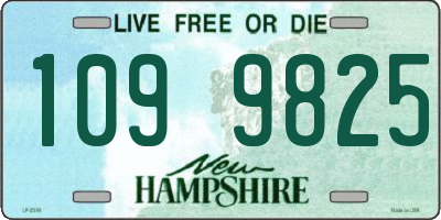 NH license plate 1099825