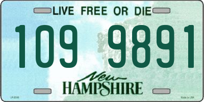 NH license plate 1099891