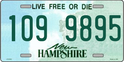 NH license plate 1099895