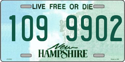 NH license plate 1099902