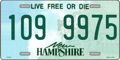 NH license plate 1099975