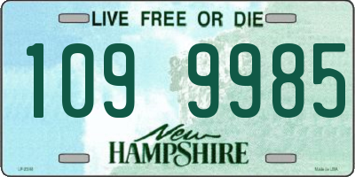 NH license plate 1099985