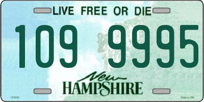 NH license plate 1099995