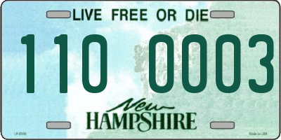NH license plate 1100003