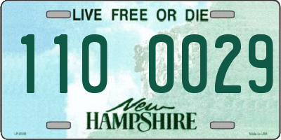 NH license plate 1100029
