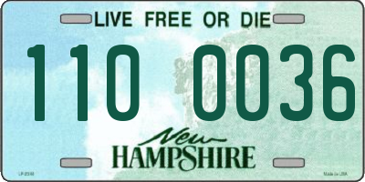 NH license plate 1100036