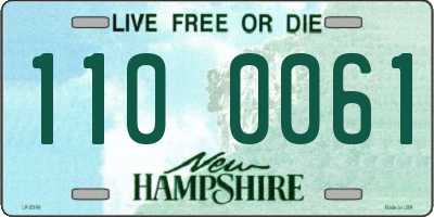 NH license plate 1100061