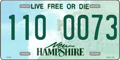 NH license plate 1100073