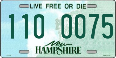 NH license plate 1100075