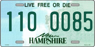NH license plate 1100085