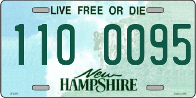 NH license plate 1100095