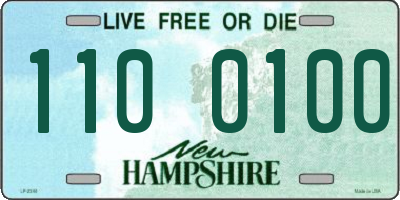 NH license plate 1100100