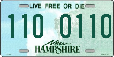 NH license plate 1100110