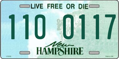 NH license plate 1100117