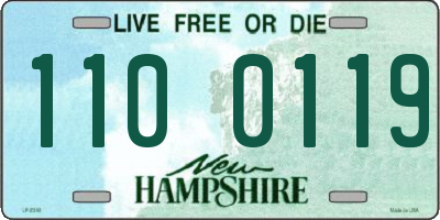 NH license plate 1100119