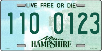 NH license plate 1100123