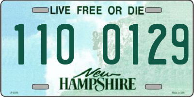 NH license plate 1100129