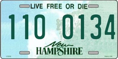 NH license plate 1100134