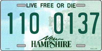 NH license plate 1100137