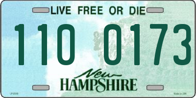 NH license plate 1100173