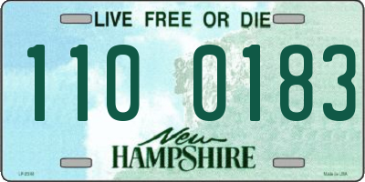 NH license plate 1100183