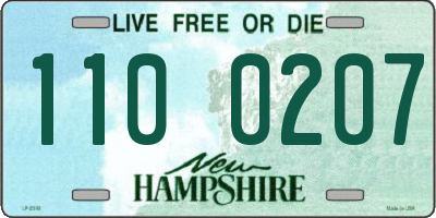 NH license plate 1100207