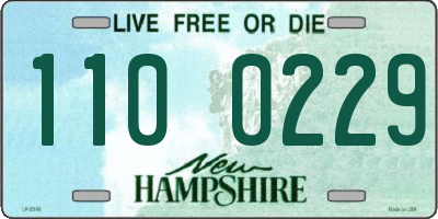NH license plate 1100229