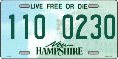 NH license plate 1100230