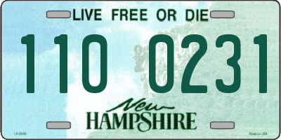 NH license plate 1100231