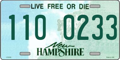 NH license plate 1100233