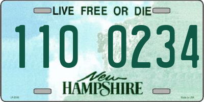 NH license plate 1100234
