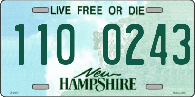 NH license plate 1100243
