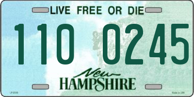NH license plate 1100245