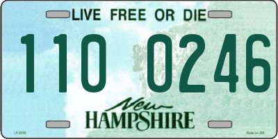 NH license plate 1100246