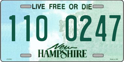 NH license plate 1100247