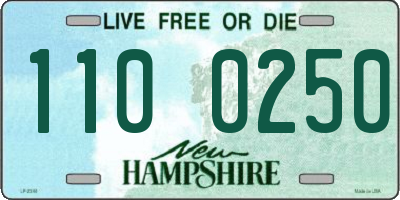 NH license plate 1100250