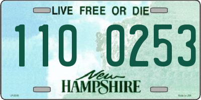 NH license plate 1100253