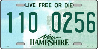 NH license plate 1100256
