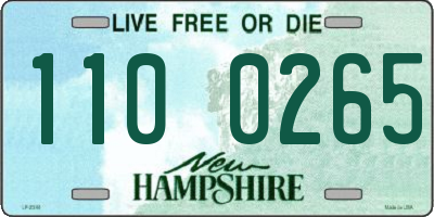 NH license plate 1100265