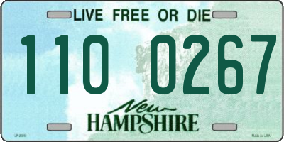 NH license plate 1100267
