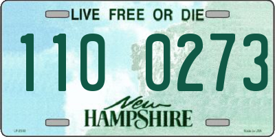 NH license plate 1100273