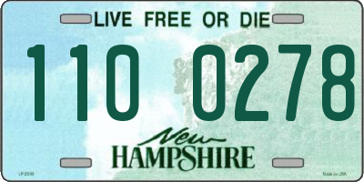 NH license plate 1100278