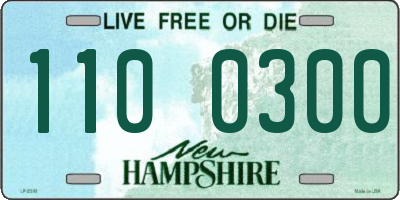 NH license plate 1100300