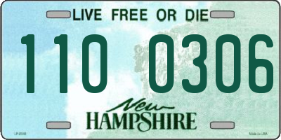 NH license plate 1100306