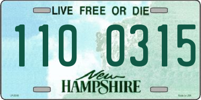 NH license plate 1100315