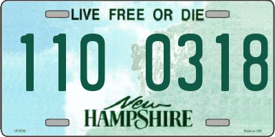NH license plate 1100318